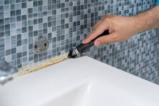 Best Emergency Mold Removal  in Reedspt, OR